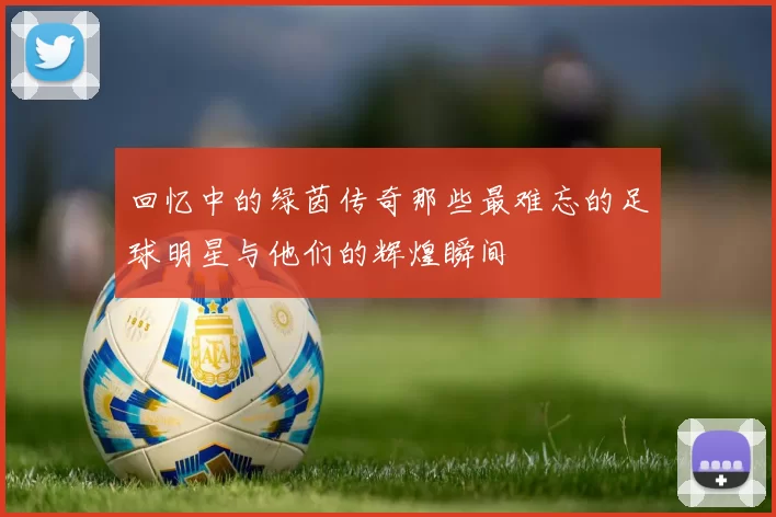 回忆中的绿茵传奇那些最难忘的足球明星与他们的辉煌瞬间