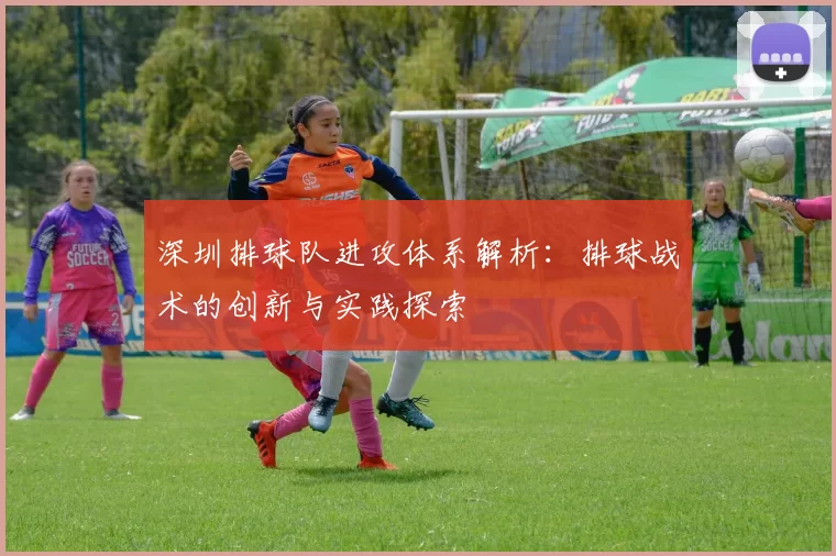 深圳排球队进攻体系解析：排球战术的创新与实践探索