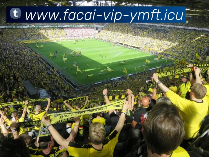 华体会体育品牌故事