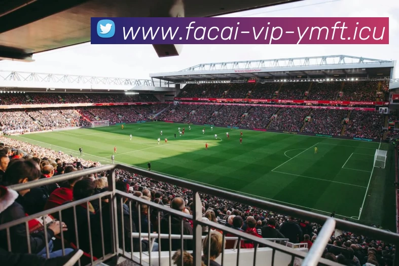 华体会体育服务体系